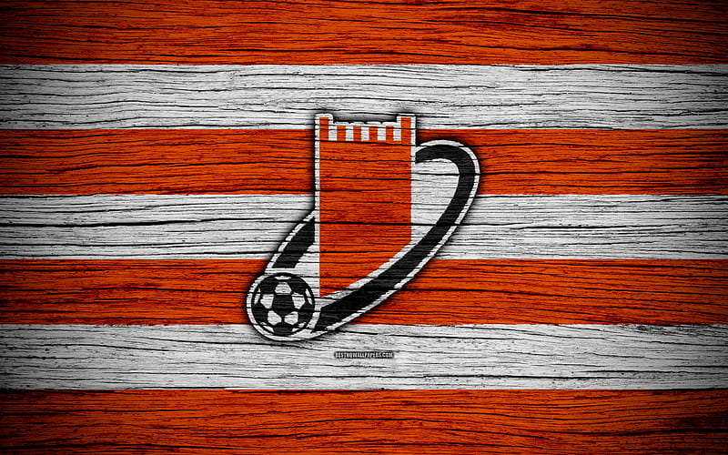 Ajmanwood FC logo, UAE League, soccer, football club, UAE, Ajmanwood, creative, wooden texture, FC Ajmanwood, HD wallpaper