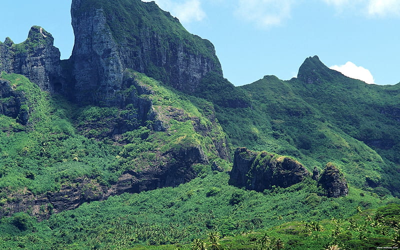 Tahiti green covered mountains, HD wallpaper