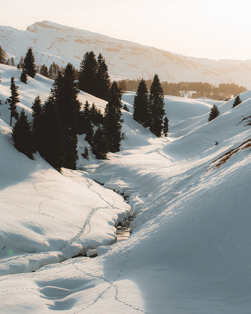 mountains, snow, trees, stream, winter, HD phone wallpaper