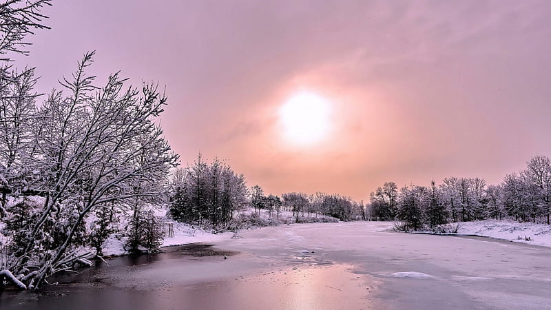 frozen river under a soft winter sun, sun, haze, river, trees, frozen, winter, HD wallpaper