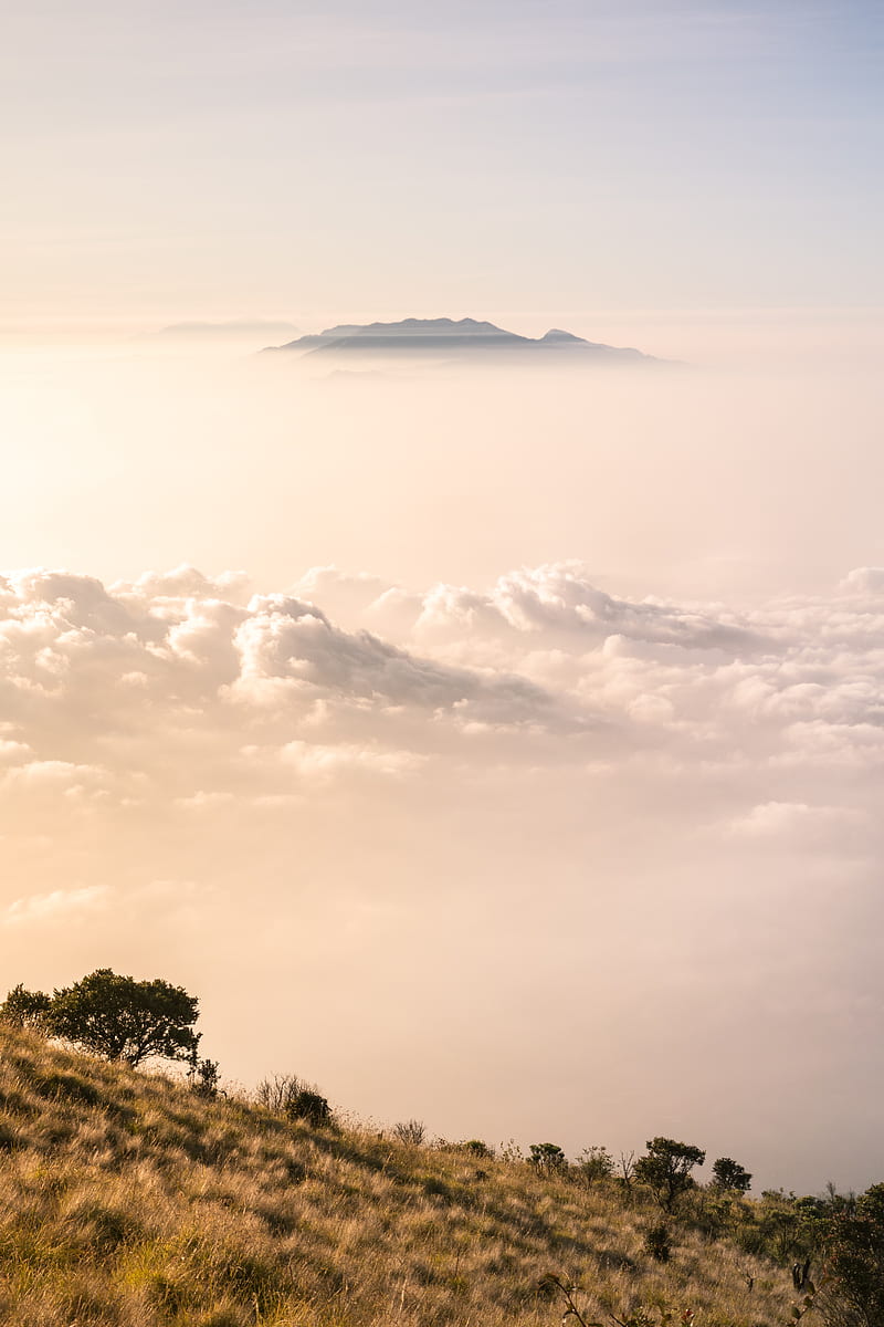 mountains, clouds, fog, peak, height, landscape, HD phone wallpaper