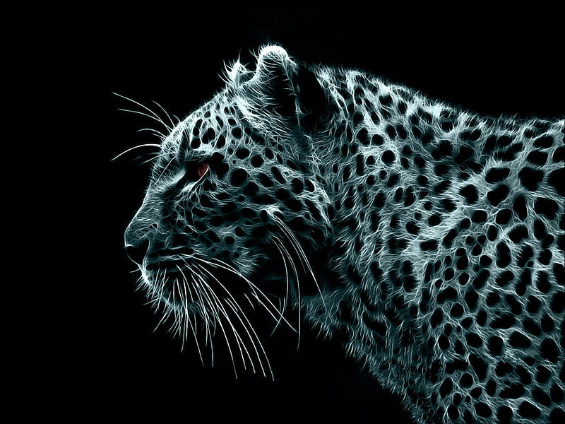 Lightning Leopard, leopard, eye, different, black, unique, cat, animal, spotted, spot, lightning, whiskers, steath, white, ear, HD wallpaper