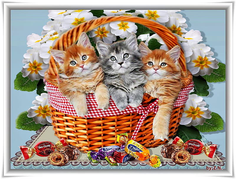 Các loại hoa thơm ngát, được kết hợp với hình ảnh con mèo xinh đẹp trên nền wallpaper HD. Đây sẽ làm cho màn hình điện thoại của bạn trở nên đẹp mắt và đáng yêu hơn. Chắc chắn bạn sẽ thích thú với tinh thần trẻ trung và tươi mới của hình nền này.