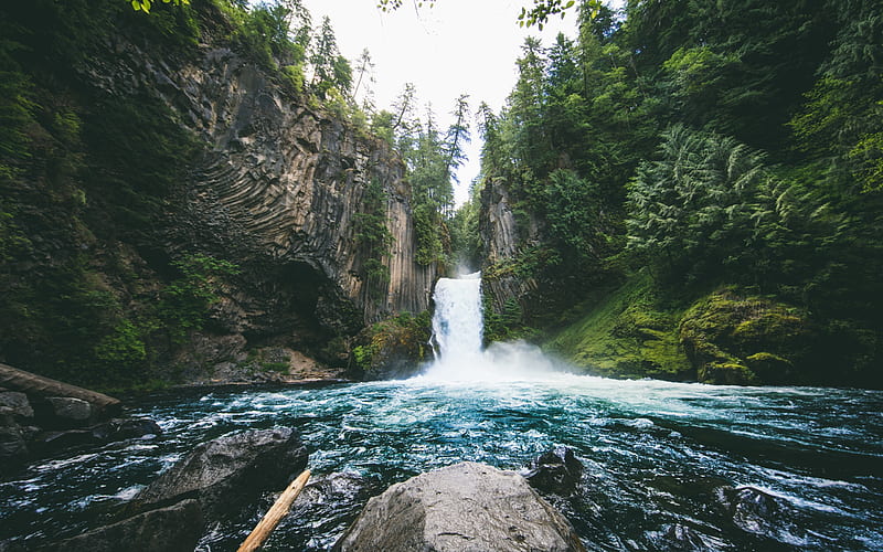 Toketee Falls, waterfall, forest, rock, USA, water, Oregon, HD wallpaper