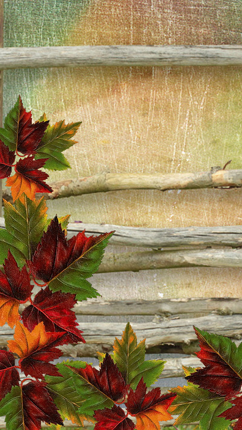 leaves autumn, abstract, wood, HD phone wallpaper