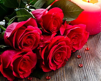 Red and Pink Roses Wallpapers  Top Free Red and Pink Roses Backgrounds   WallpaperAccess