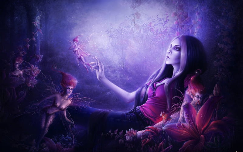 Fantasy, wings, black, woman, girl, purple, dark, flower, pink, fairy, light, night, HD wallpaper