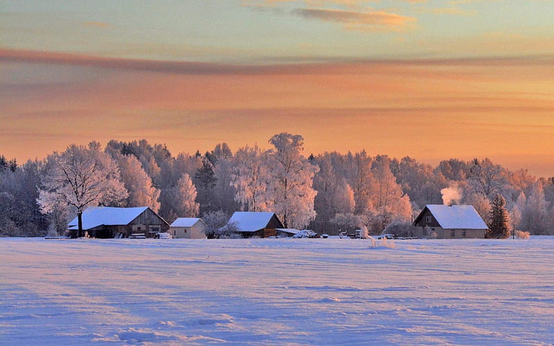 Winter in Dikli, Latvia, forest, snow, houses, Latvia, winter, HD wallpaper