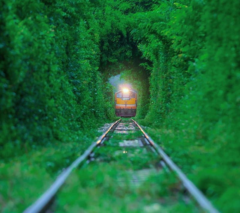 Tunnel of love1204, greenary, love, nature, tracks, train, HD wallpaper