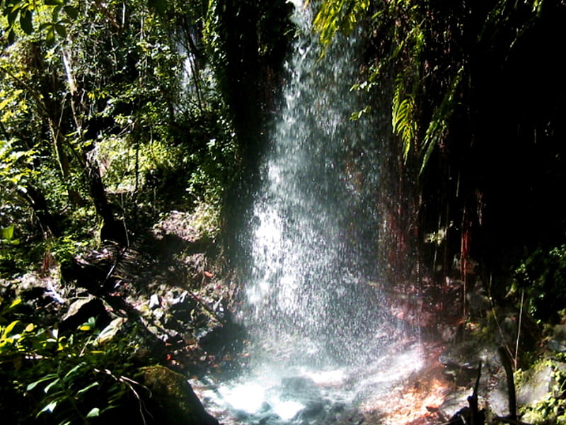 Waterfall in Ubajara Sierra's Hotel Forest Reserve 2, vision, paradise, Nature, beautiness, HD wallpaper