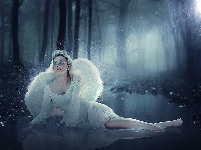 Time to go away, shine, forest, night, angel, HD wallpaper