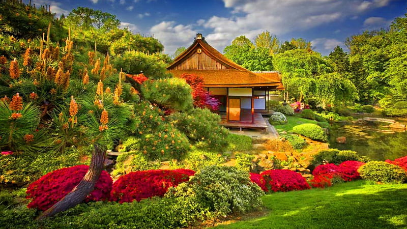 Spring Japanese Garden Wallpaper