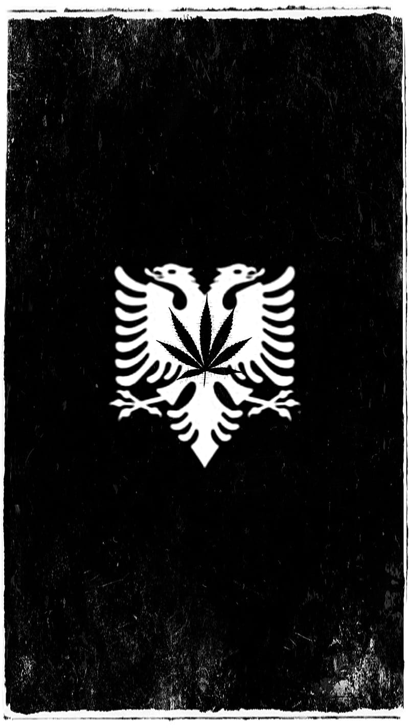 Albanian Eagle Albania Flag HD wallpaper  Pxfuel
