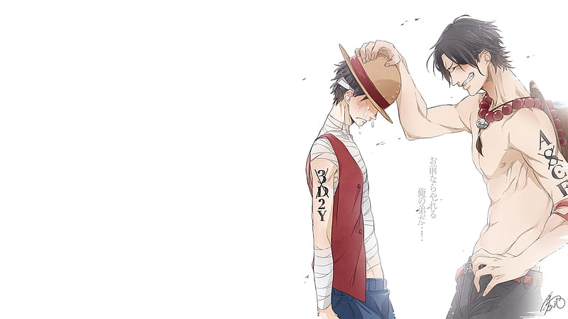 One Piece Portgas D Ace Holding Hands on Luffy's Hat Anime, HD wallpaper