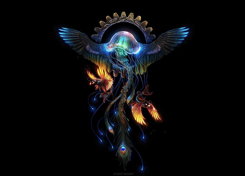 Abyssal Phoenix, orange, phoenix, luminos, peacock, black, diane ozdamar, vara, fantasy, bird, feather, summer, pasari, jellyfish, blue, HD wallpaper