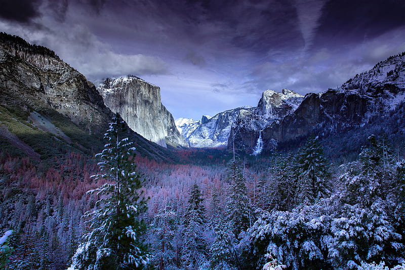Snow Forests Yosemite Scenery , yosemite, national-park, nature, mountains, sky, HD wallpaper