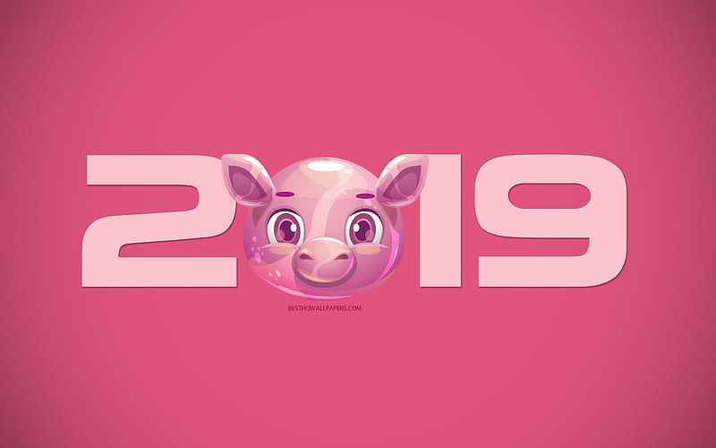 2019 Year, pink background with a piglet, 2019 New Year, 2019 concepts, creative 2019 design, 2019 background with a pig, creative art, Chinese horoscope, HD wallpaper