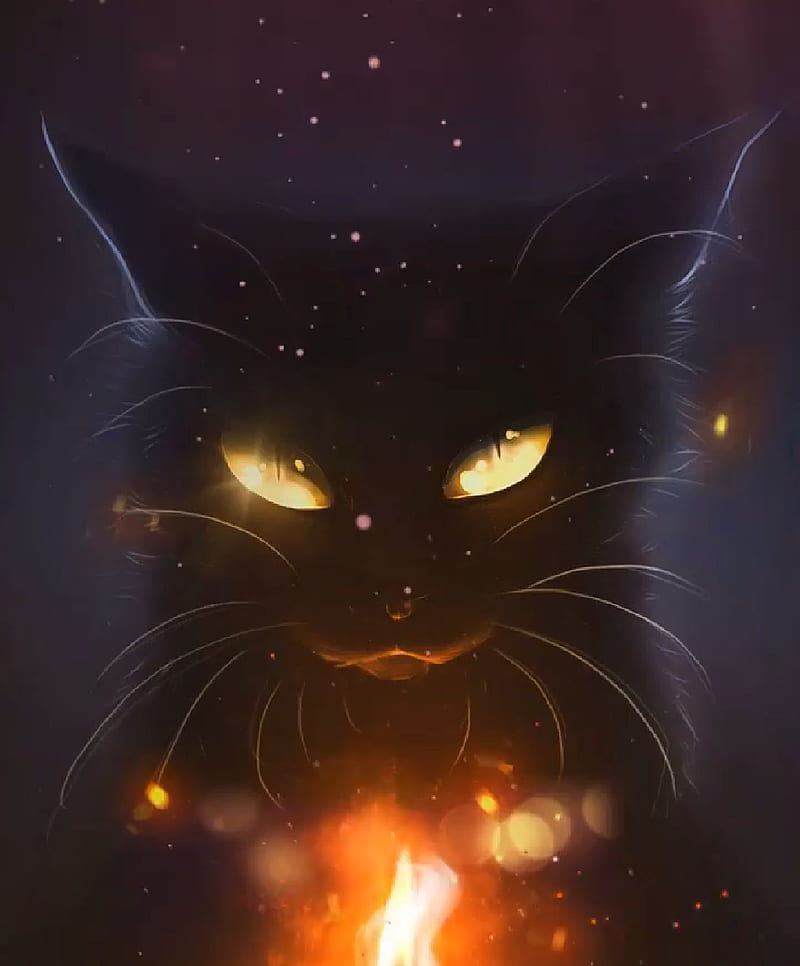Fire Kitty, cat, cute, kitten, HD phone wallpaper