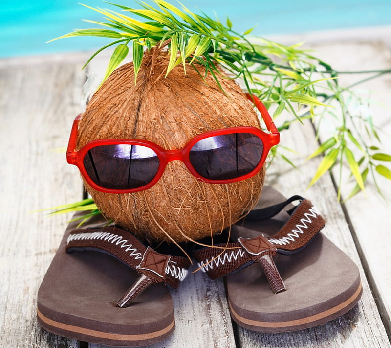 Funny Coconut, sunglasses, vacation, coconut, summer, funny, HD wallpaper
