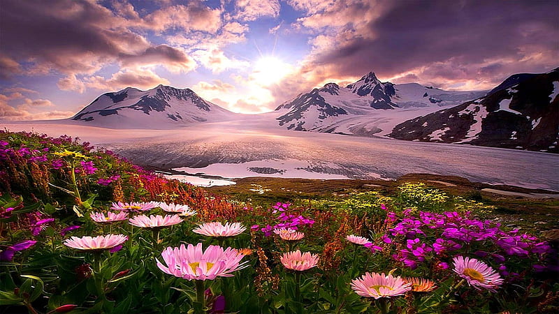 Spring in Alaska, dawn, sunlights, glacier, alaska, spring, sky, mountains, flowers, nature, reflection, HD wallpaper
