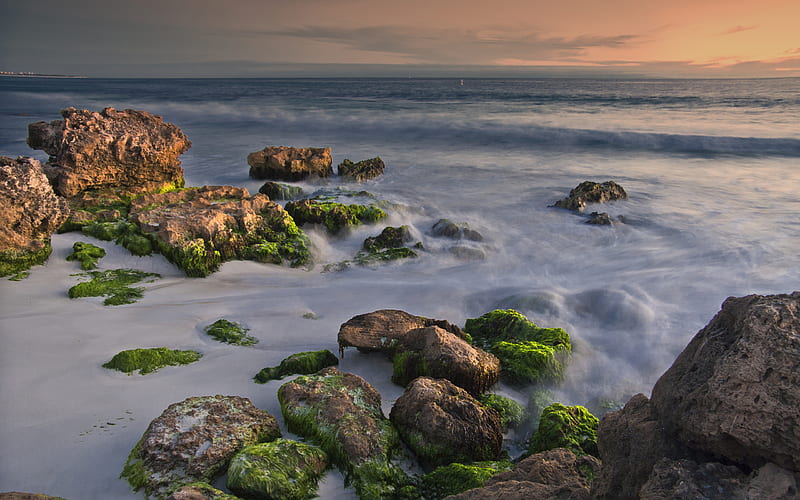Beach Sunset, rocks, dusk, sky, clouds, mist, lights, sea, serene, coastline, seaweed, HD wallpaper