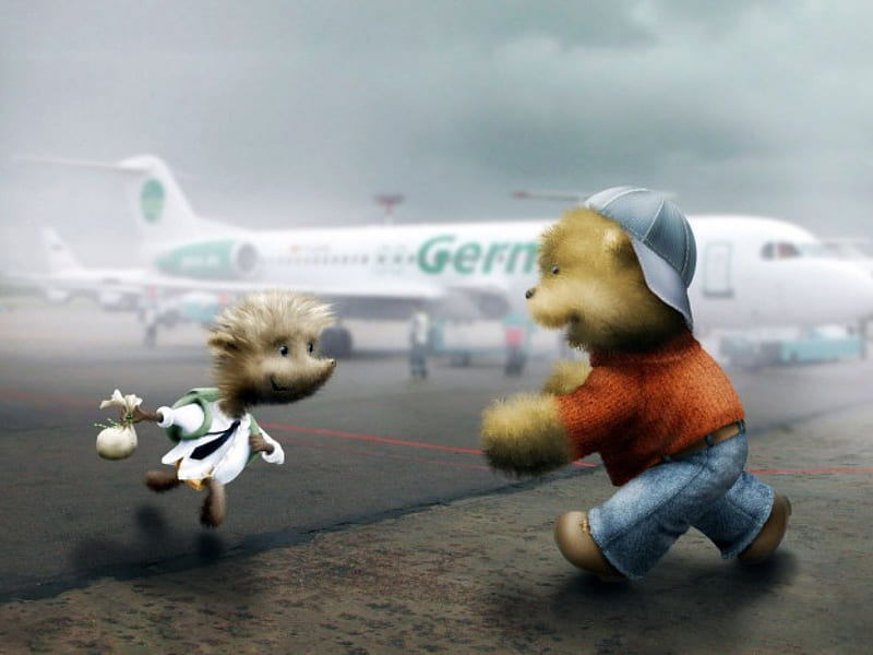 Reunion, teddybear, aircraft, mouse, airport, artwork, HD wallpaper