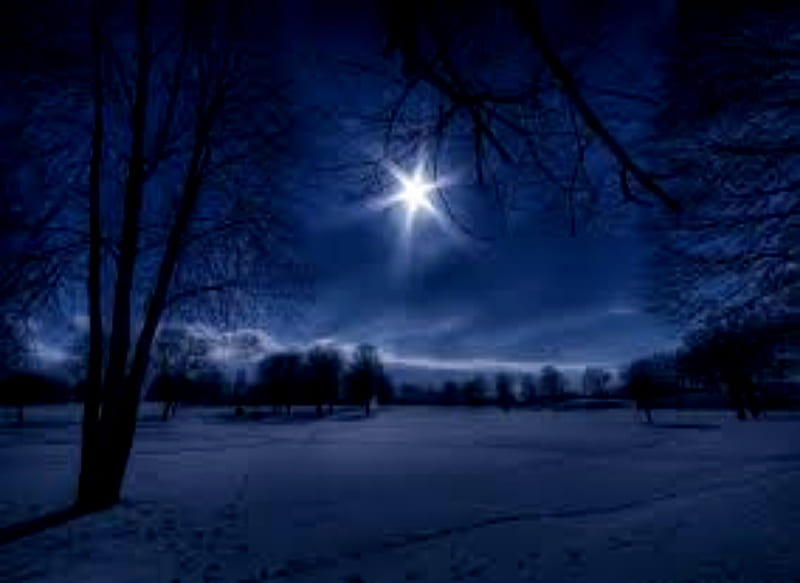 One Star, Star, One, Trees, Sky, Clouds, Snow, Blue, HD wallpaper