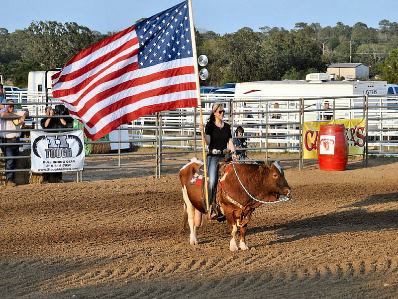 Cowgirl Salute To Veterans Bulls Female Westerns America Fun Outdoors Hd Wallpaper Peakpx