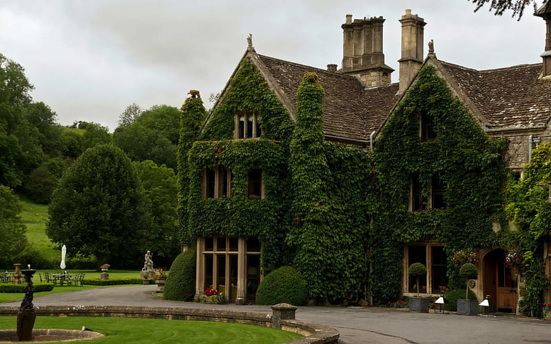 English Manor Covered in Ivy, architecture, ivy, houses, england, HD wallpaper