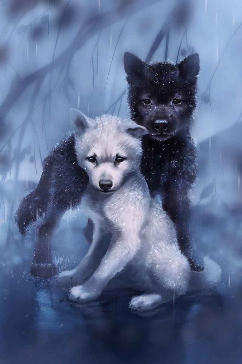 Hello wolf ideas. cute animal drawings, wolf art, wolf artwork, Cute Baby  Wolves, HD phone wallpaper | Peakpx