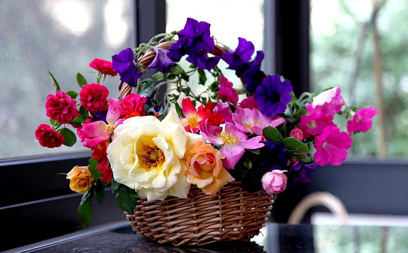 Flowers, baskets, rose, composition, petunia, roses, compositions, purple, basket, flower, gardens, garden, pink, petunias, HD wallpaper