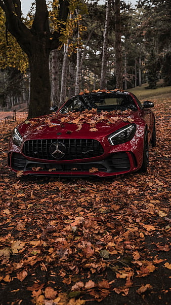 Mercedes AMG GT, car, supercar sports, america, new, red, HD phone wallpaper