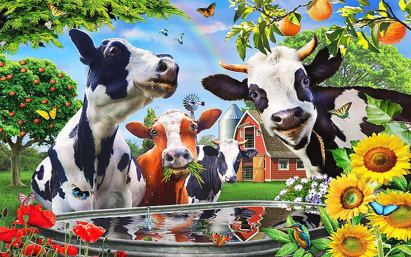 Cow’s Paradise, funny, Farm, Cows, Animals, HD wallpaper