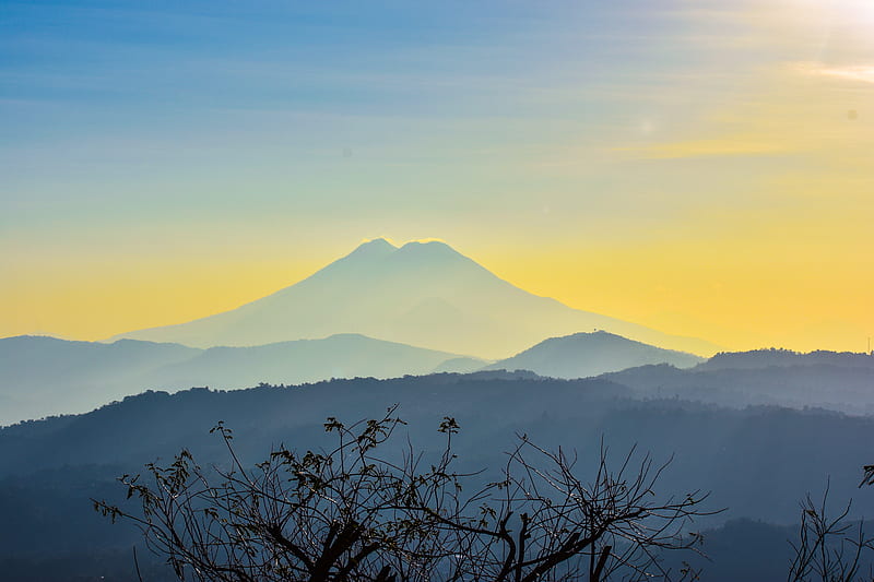 Naked Tree During Sunrise HD Wallpaper Peakpx