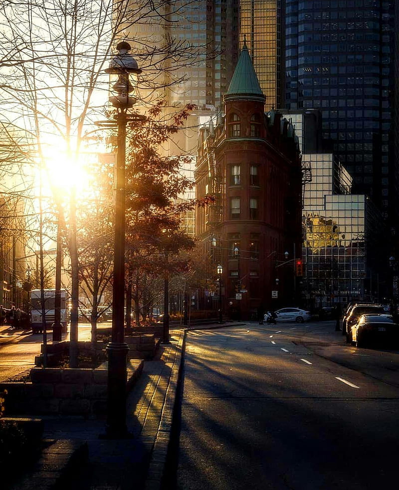 City of Toronto, canada, city, colorful, sunlight, toronto, HD phone  wallpaper | Peakpx