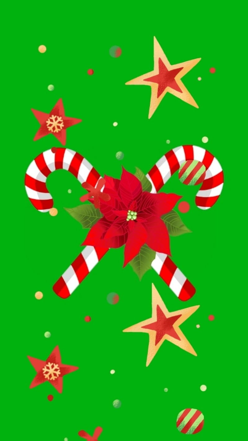 Candy Cane, christmas, green, holidays, HD phone wallpaper