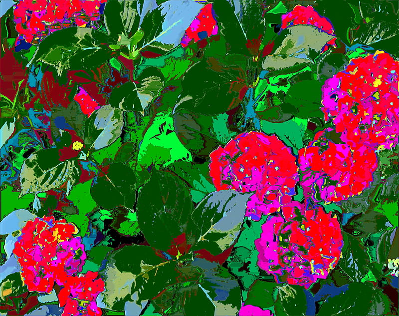 red flowers, flowers, grow, re, plants, HD wallpaper