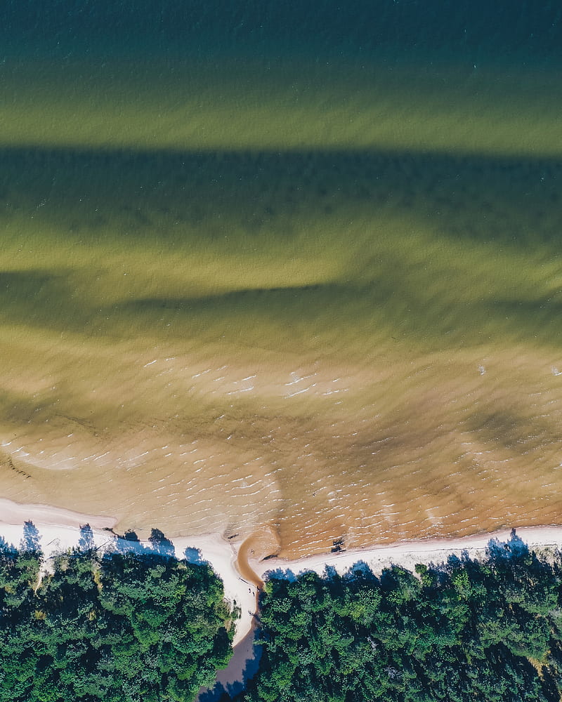 sea, coast, aerial view, water, trees, HD phone wallpaper