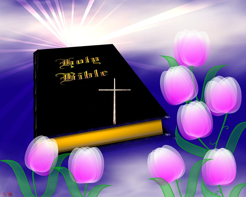 Holy Bible, shopped, holiday, christian, religious, easter, abstract, 3d,  bible, HD wallpaper | Peakpx
