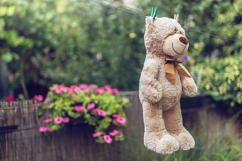Giant Teddy Bear by Boo bear Factory, teddy bear, toys, boo bear, soft toys, kids, HD wallpaper