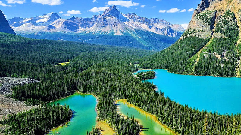 Yoho National Park Canada, forest, nature, parks, canada, yoho national park, HD wallpaper