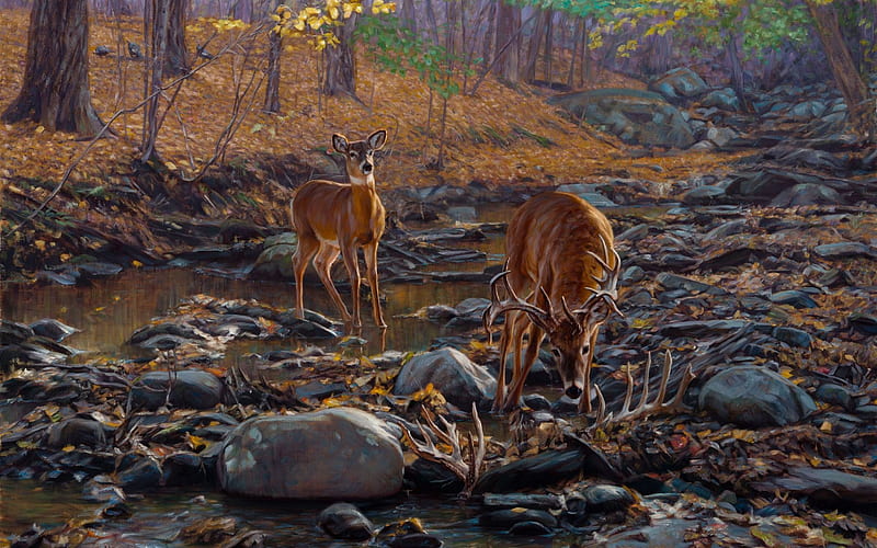 Deers, john banovich, art, forest, painting, caprioare, pictura, deer, animal, brown, HD wallpaper