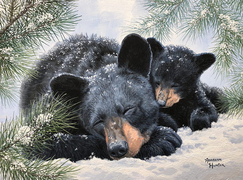 Winter nap, painting, abraham hunter, bear, cub, pictura, winter, art, sleep, nap, iarna, urs, HD wallpaper