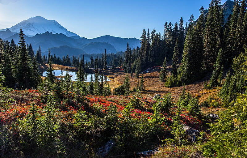 Mountains, Mount Rainier, Lake, Landscape, Mountain, Nature, Tree, HD wallpaper
