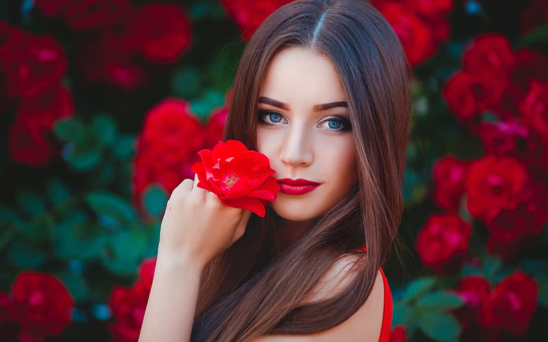 Beauty, red, model, rose, girl, hand, flower, face, woman, HD wallpaper |  Peakpx
