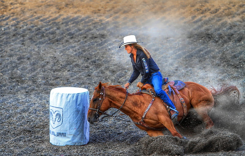 Barrel racer Mehalic and her horse battle through adversity  Rodeo   wyomingnewscom