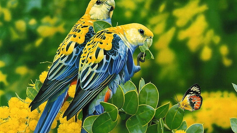 Two Parrots in the Jungle, forest, leaves, butterfly, green, birds, parrots, trees, animal, HD wallpaper
