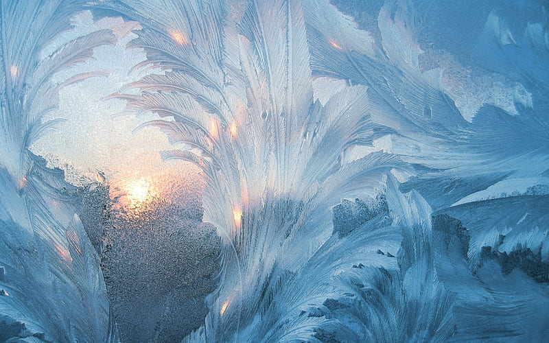 Ice Flowers, glass, winter, patterns, frost, ice, HD wallpaper