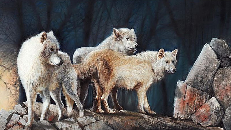Wolves in Rocks, Firefox theme, lobo, rocks, wild, wolf, wolves, pack, loup, HD wallpaper