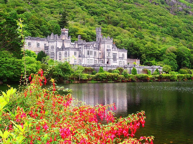 Kylemore abbey, riverbank, lovely, greenery, bonito, mountain, nice, summer, flowers, nature, river, reflection, castle, HD wallpaper